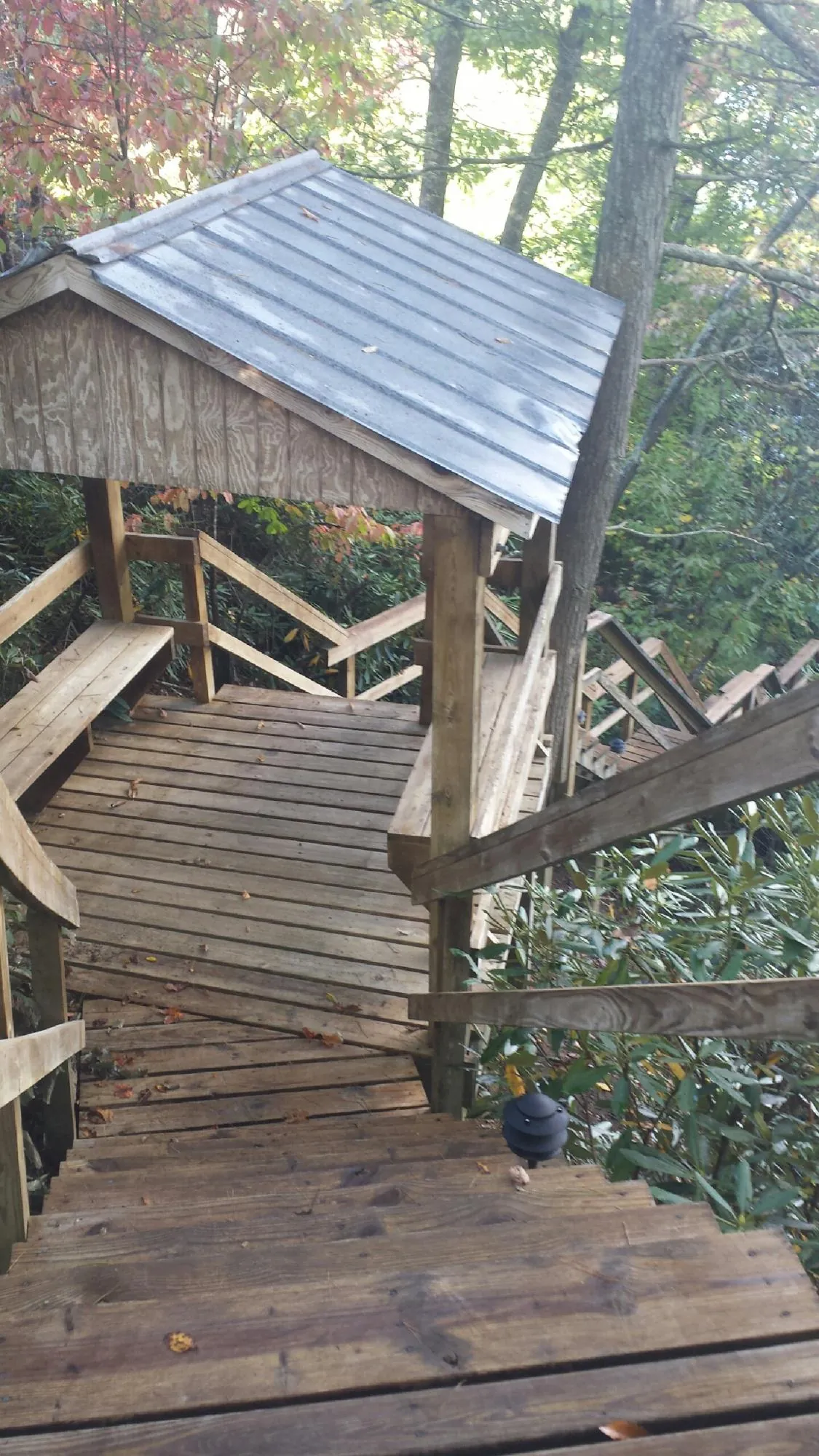 Metal roofed shelter over wooden steps on a wooded walkway — Skylight Repair & Installation work by our crew in Myrtle